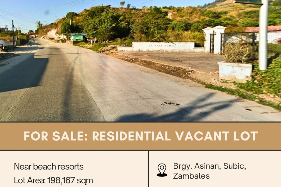 Land for Sale in Asinan Proper, Subic, Zambales