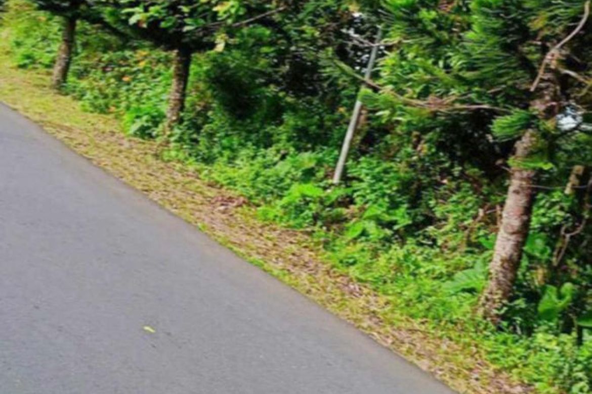 Land for Sale in Asisan, Tagaytay, Cavite