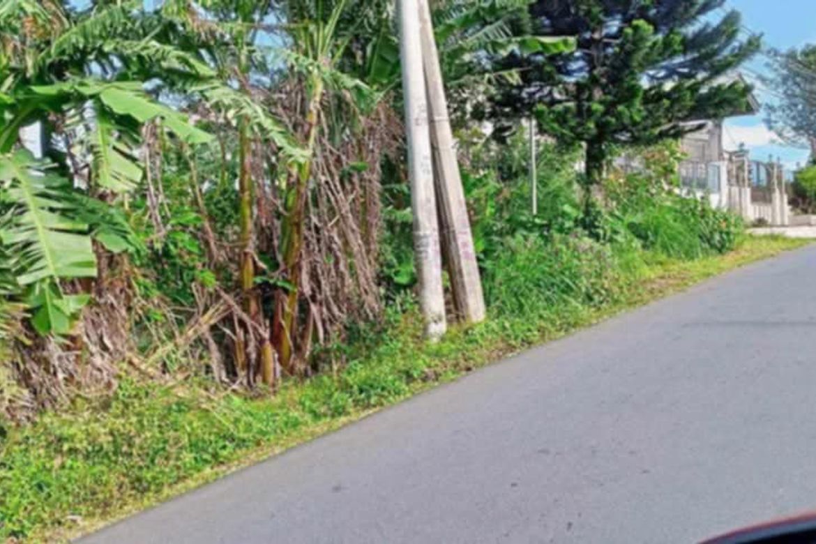 Land for Sale in Asisan, Tagaytay, Cavite – photo 3