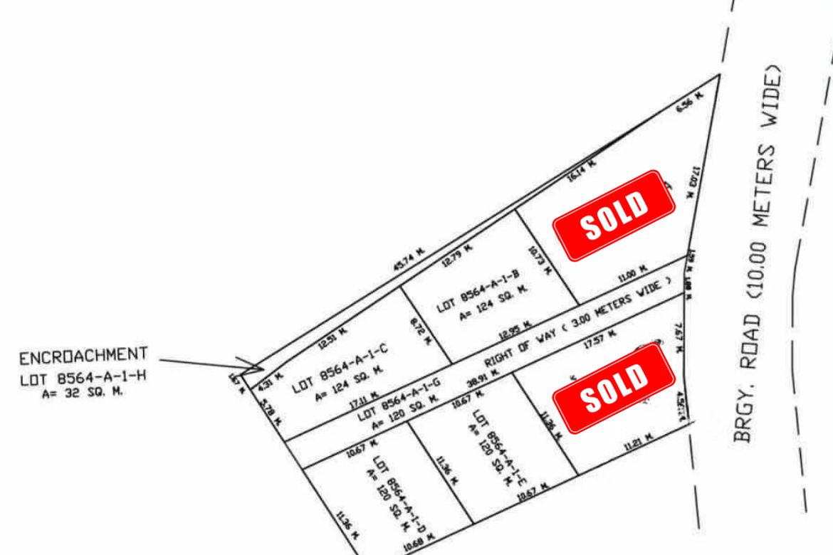 Land for Sale in Asisan, Tagaytay, Cavite – photo 4