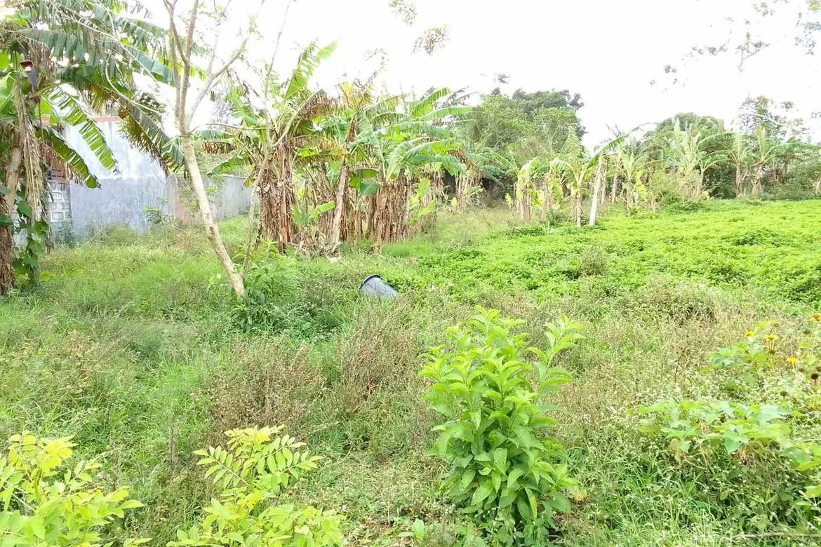 Land for Sale in Asisan, Tagaytay, Cavite – photo 2