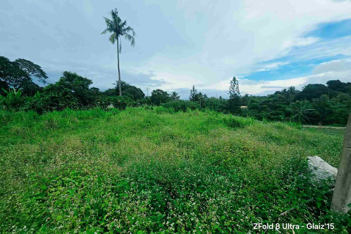 Land for Sale in Asisan, Tagaytay, Cavite – photo 2
