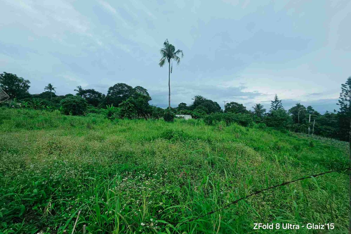 Land for Sale in Asisan, Tagaytay, Cavite – photo 3