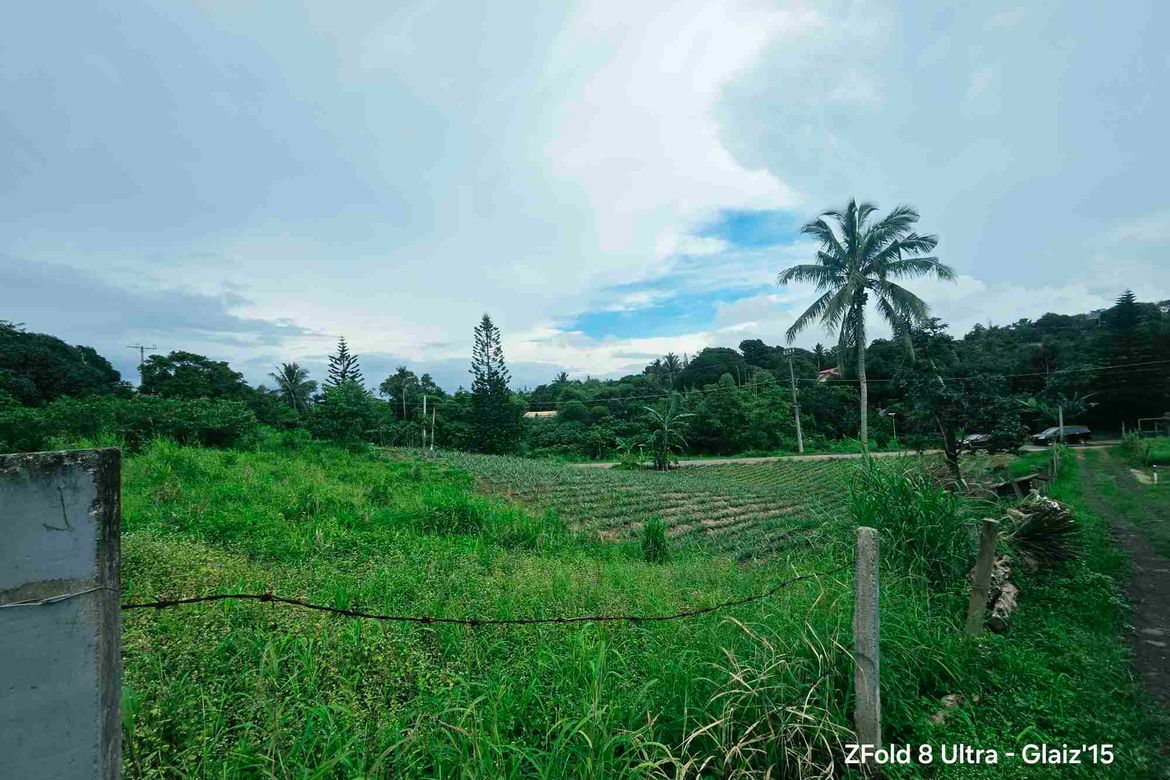 Land for Sale in Asisan, Tagaytay, Cavite – photo 4