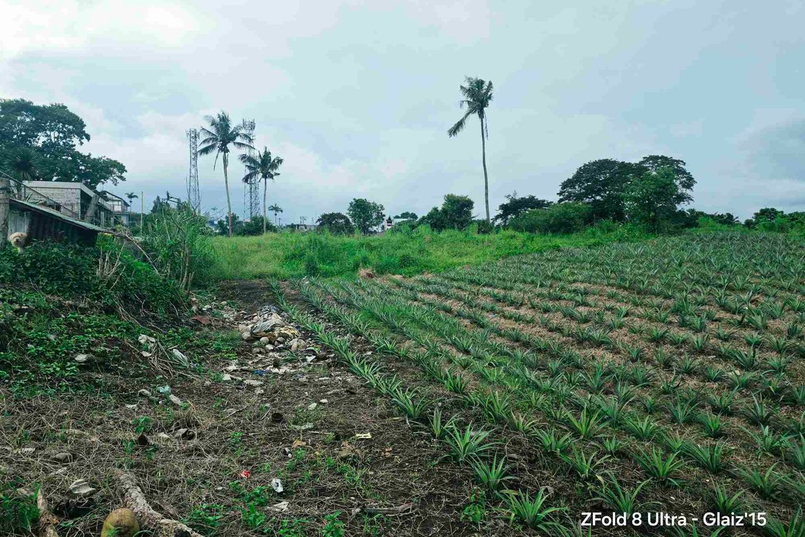 Land for Sale in Asisan, Tagaytay, Cavite – photo 7