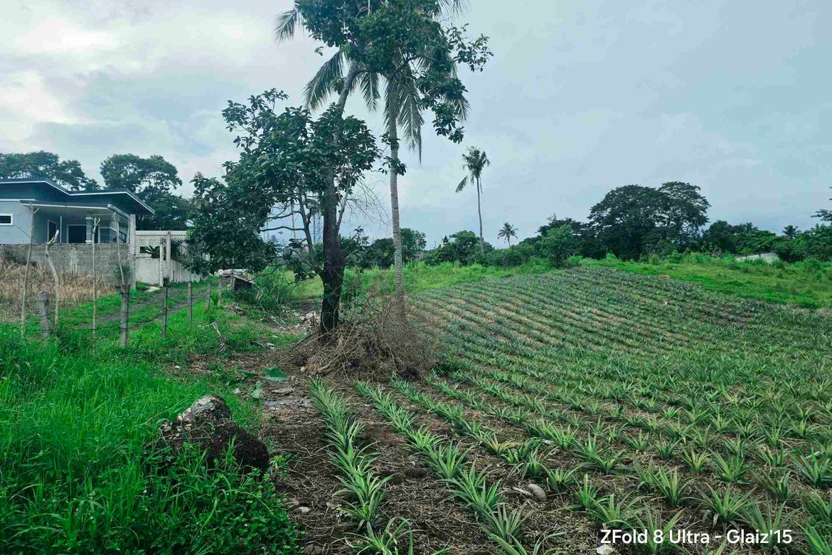 Land for Sale in Asisan, Tagaytay, Cavite – photo 8