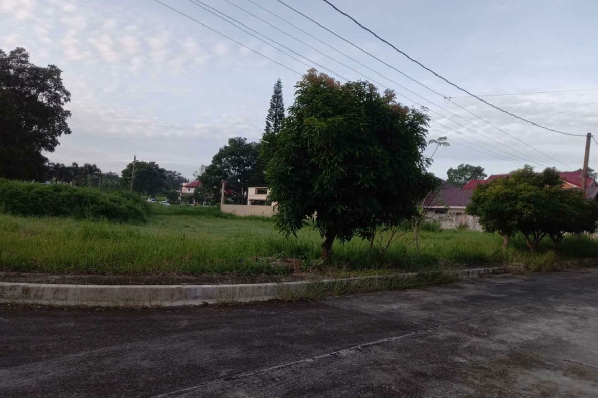 Land for Sale in Asisan, Tagaytay, Cavite – photo 7