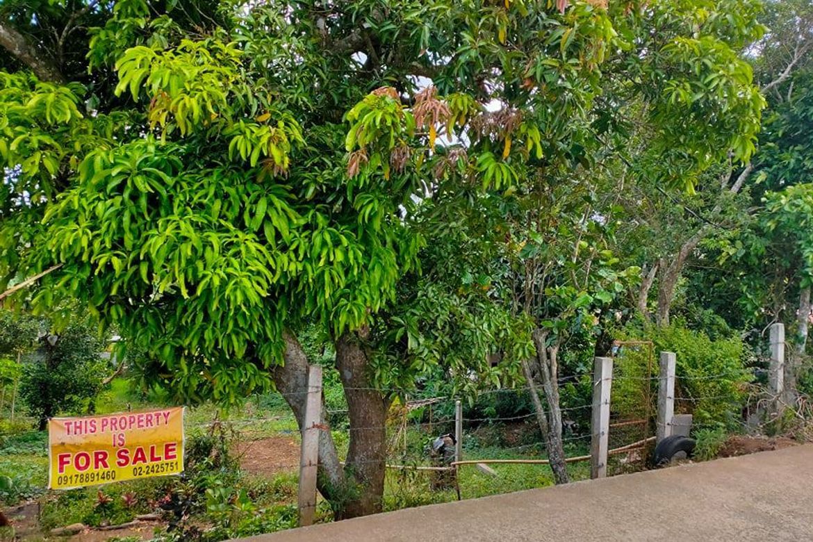 Land for Sale in Asisan, Tagaytay, Cavite