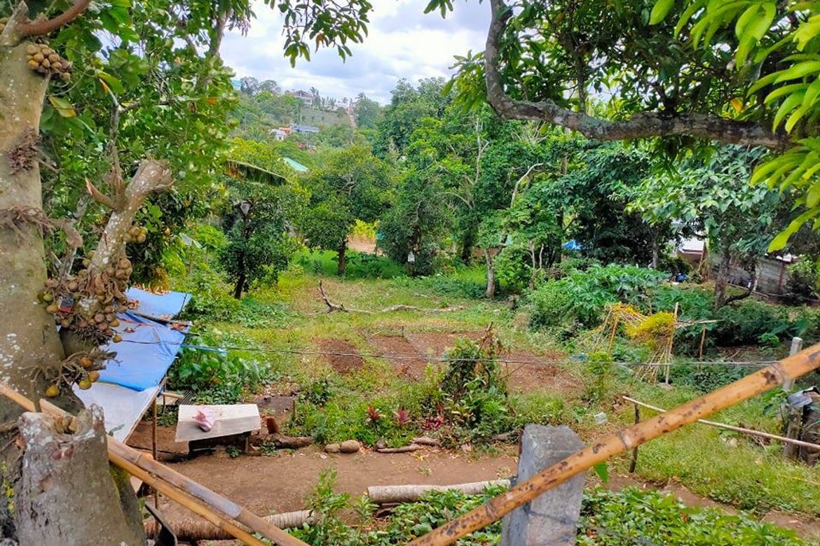 Land for Sale in Asisan, Tagaytay, Cavite – photo 3