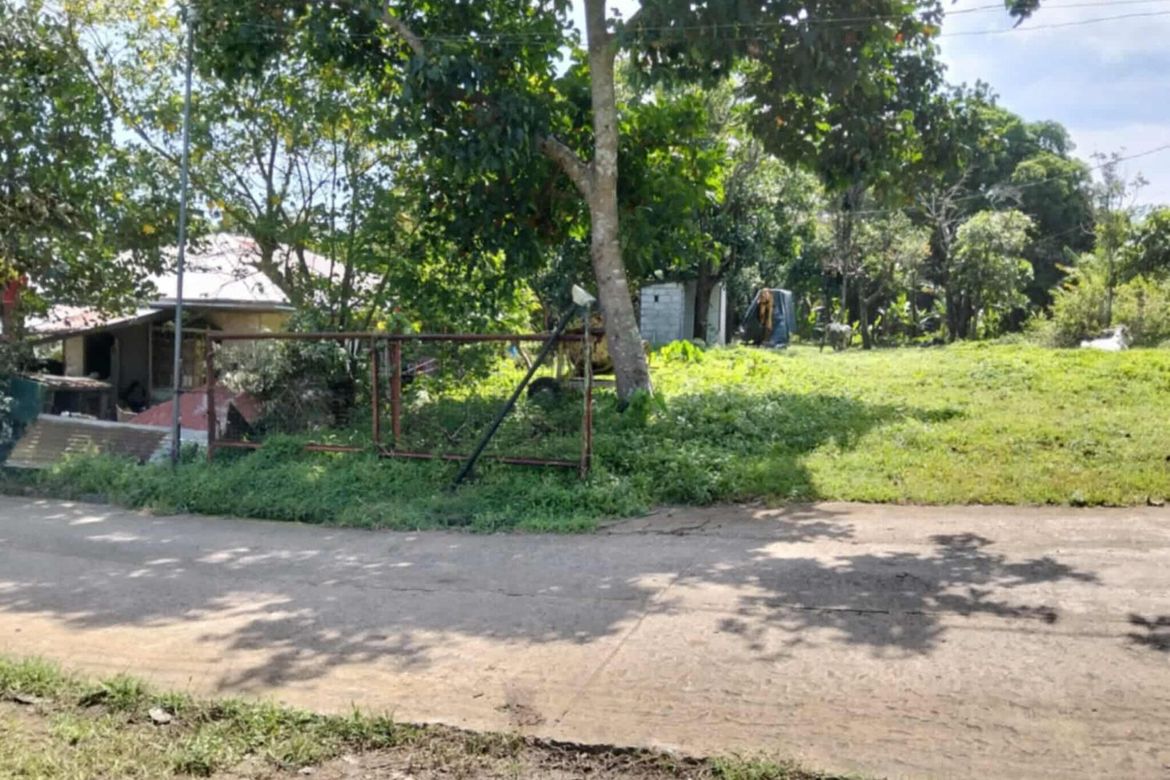 Land for Sale in Asisan, Tagaytay, Cavite – photo 2