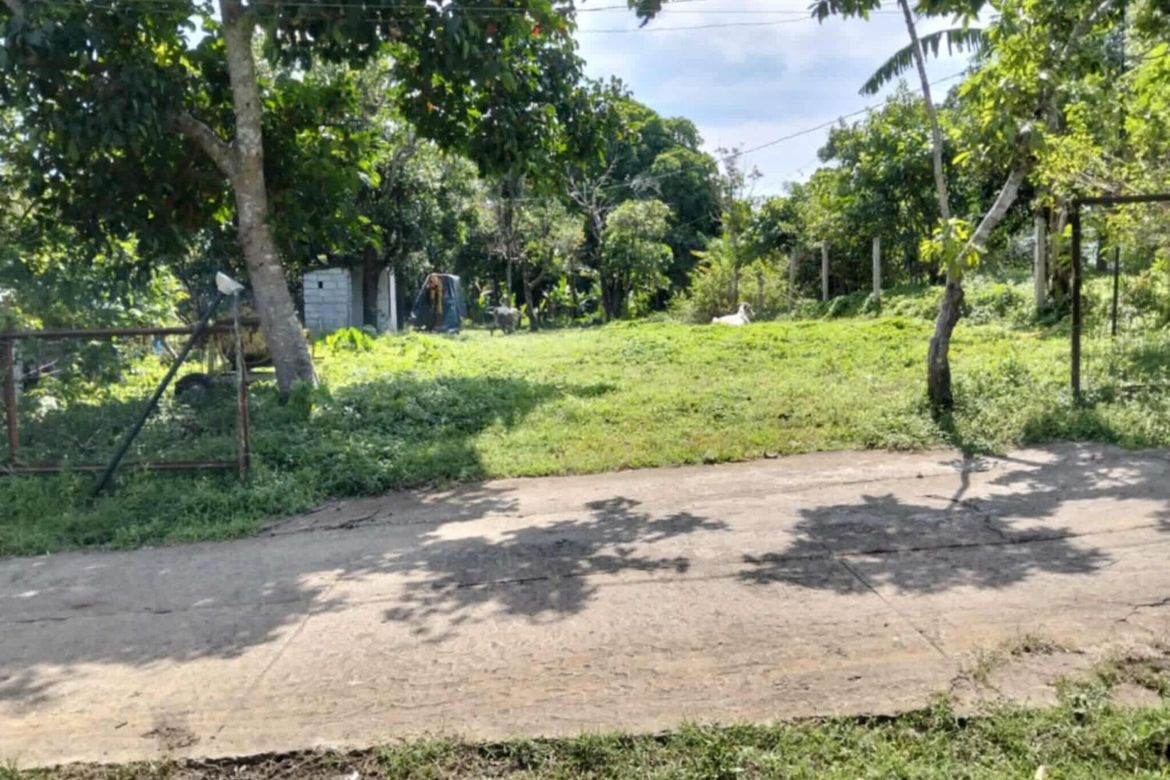 Land for Sale in Asisan, Tagaytay, Cavite – photo 4