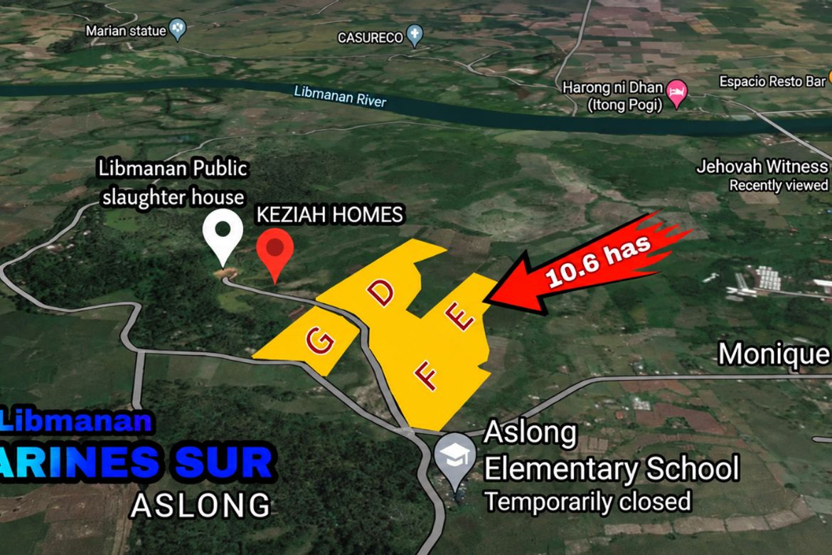 Land for Sale in Aslong, Libmanan, Camarines Sur