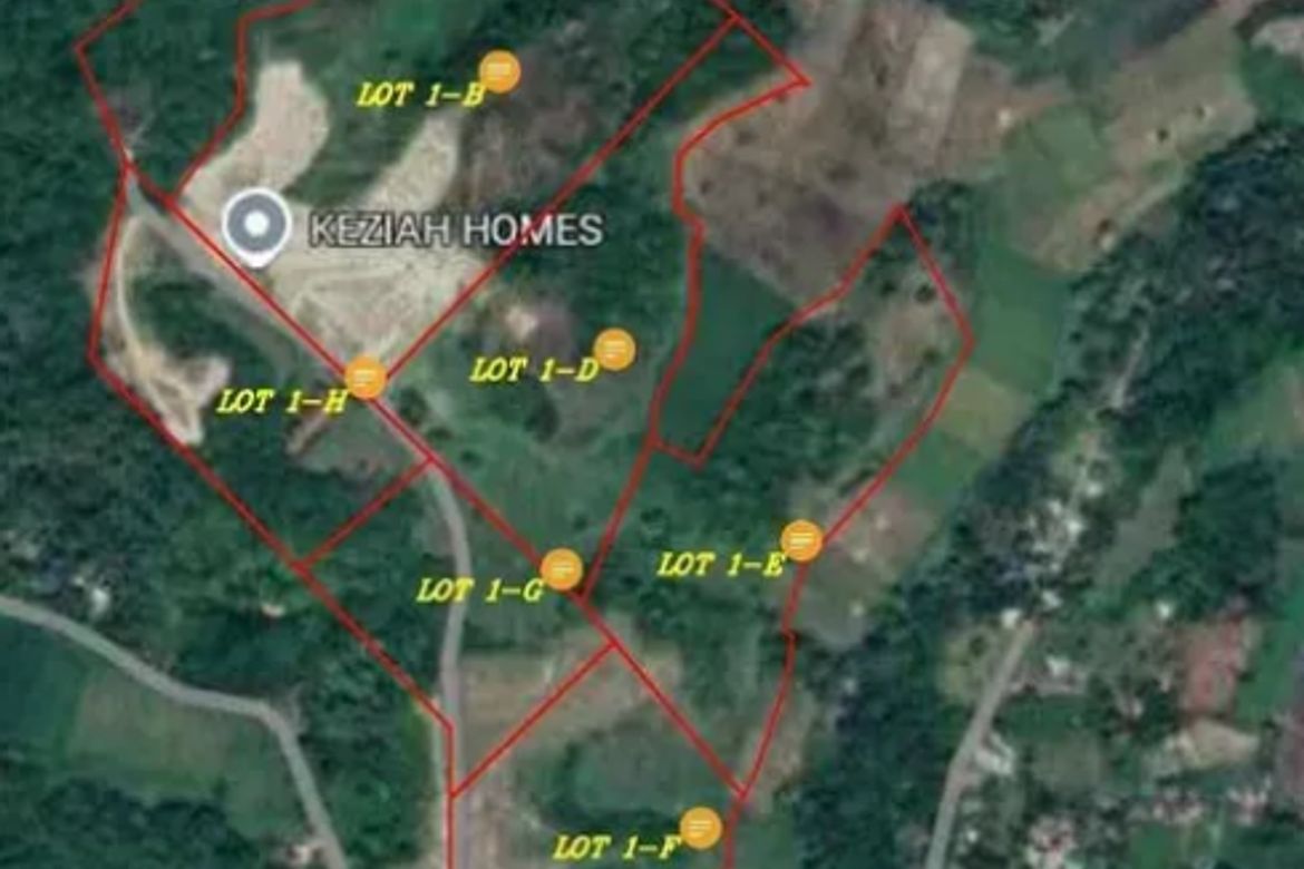 Land for Sale in Aslong, Libmanan, Camarines Sur – photo 2