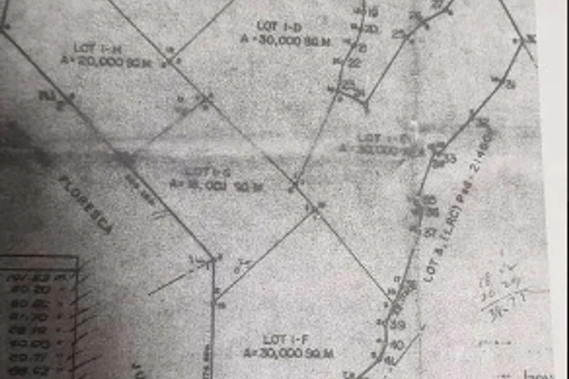 Land for Sale in Aslong, Libmanan, Camarines Sur – photo 3