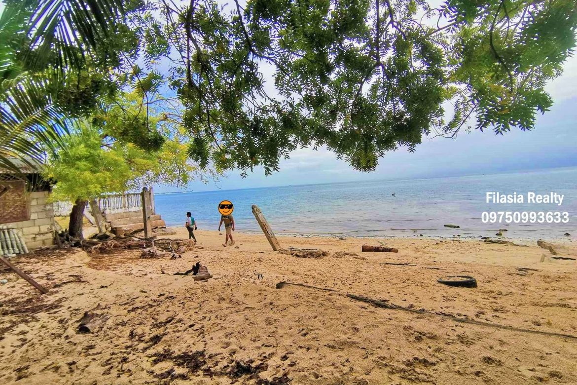 Land for Sale in Atabay, Alcoy, Cebu – photo 2