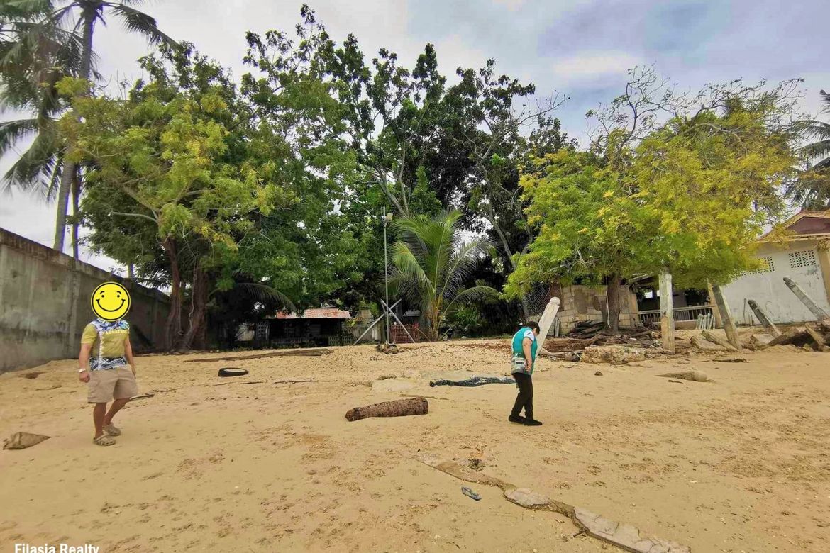 Land for Sale in Atabay, Alcoy, Cebu – photo 4