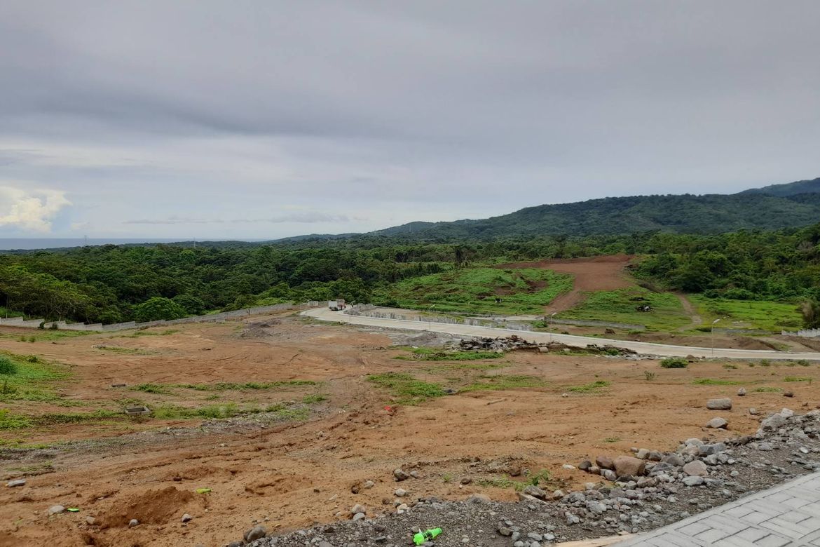 Land for Sale in Atilano L. Ricardo, Bagac, Bataan – photo 5