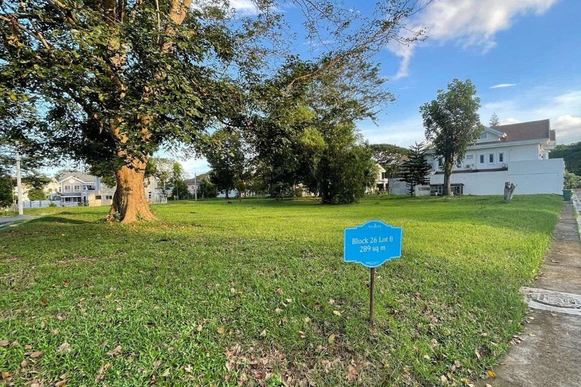 Land for Sale in Augusta, Don Jose, Santa Rosa, Laguna – photo 6
