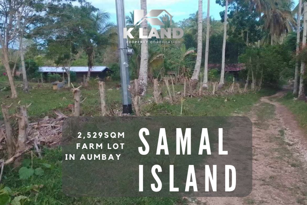 Land for Sale in Aumbay, Samal, Davao del Norte