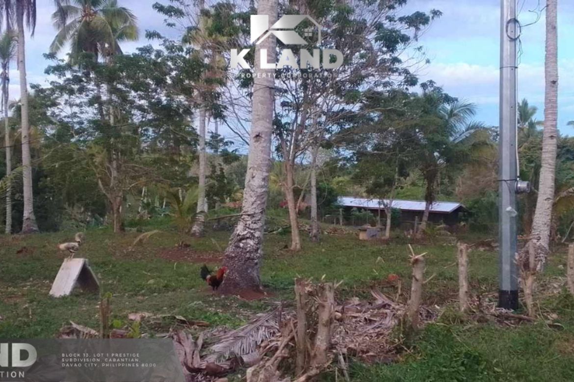 Land for Sale in Aumbay, Samal, Davao del Norte – photo 3
