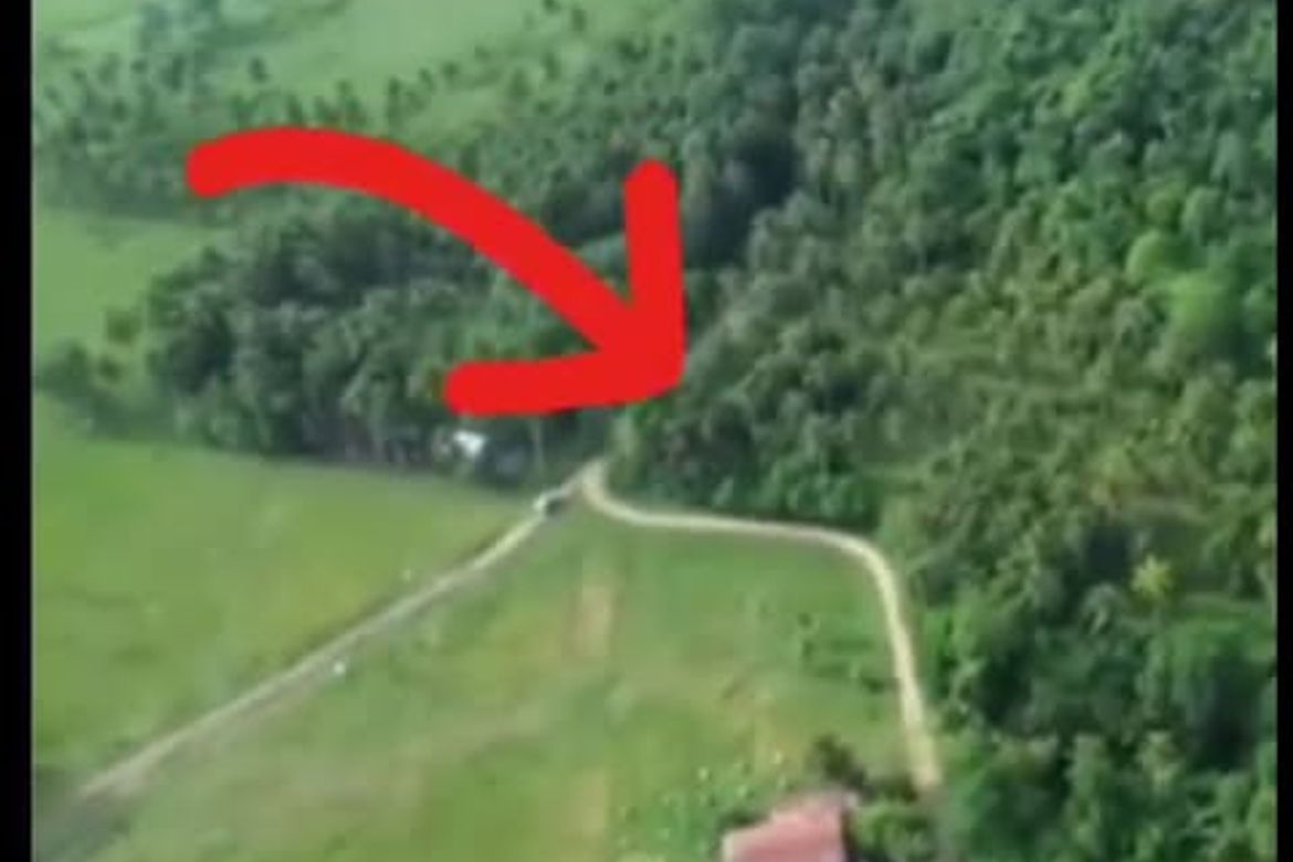Land for Sale in Aumbay, Samal, Davao del Norte – photo 3