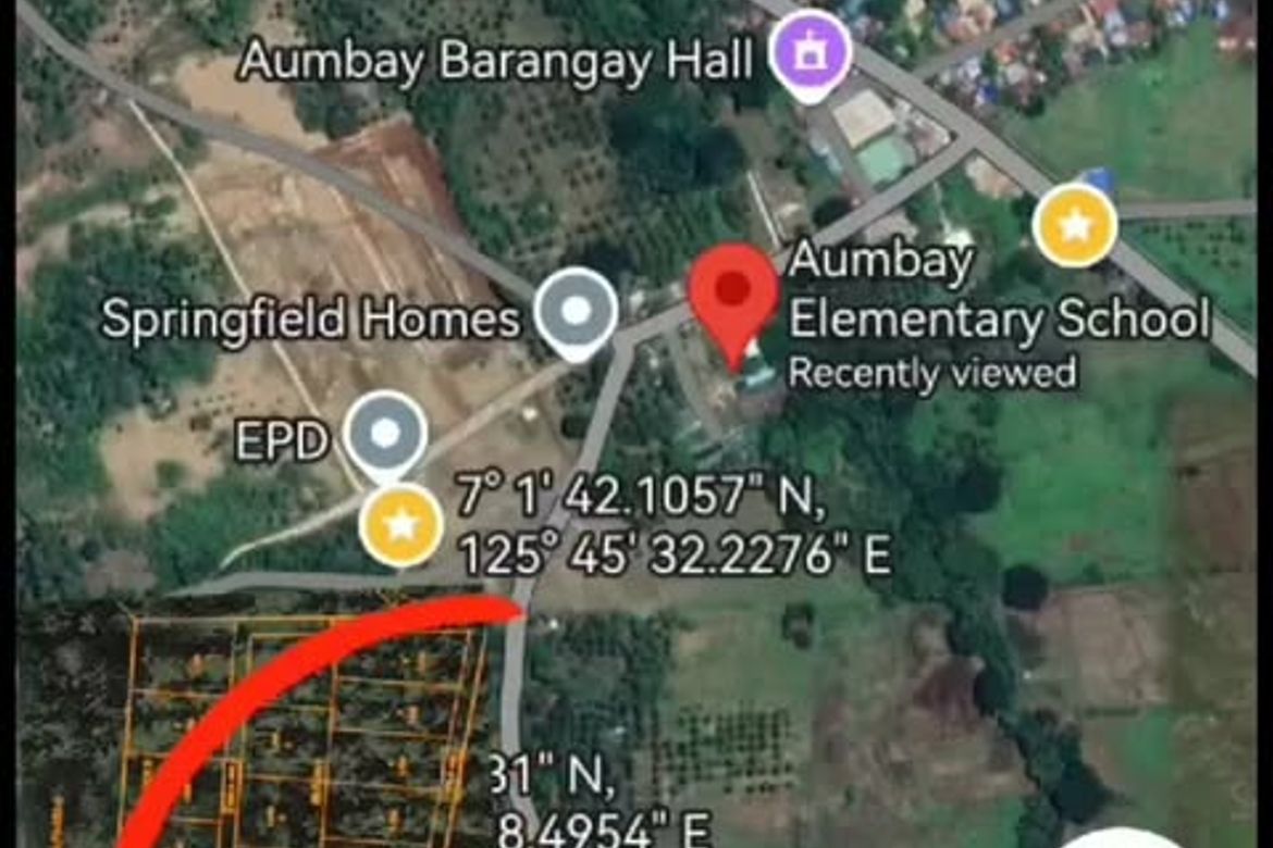 Land for Sale in Aumbay, Samal, Davao del Norte – photo 4