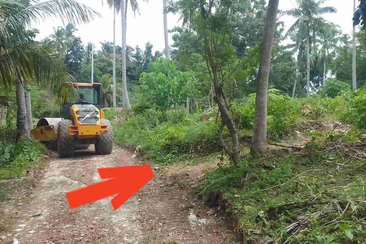 Land for Sale in Aumbay, Samal, Davao del Norte – photo 3