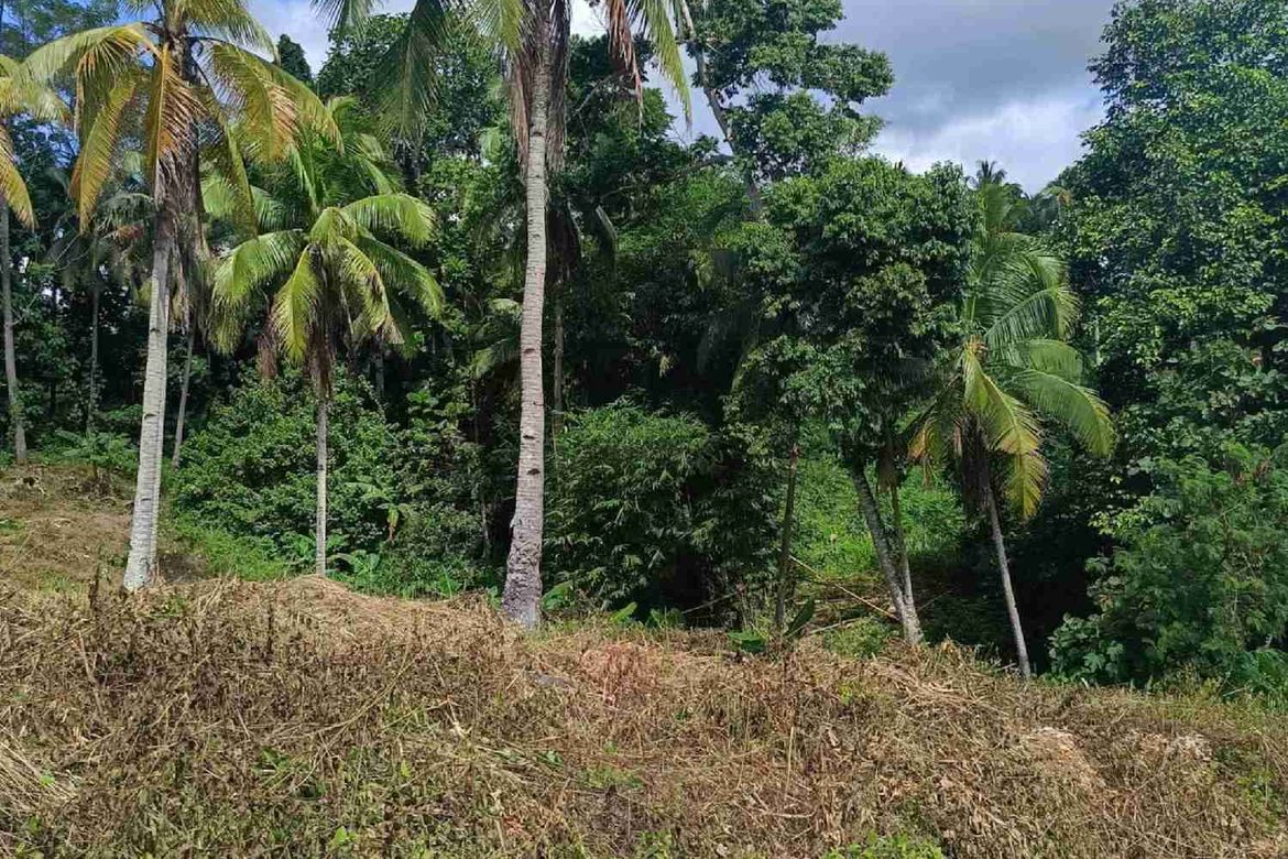 Land for Sale in Aumbay, Samal, Davao del Norte – photo 6