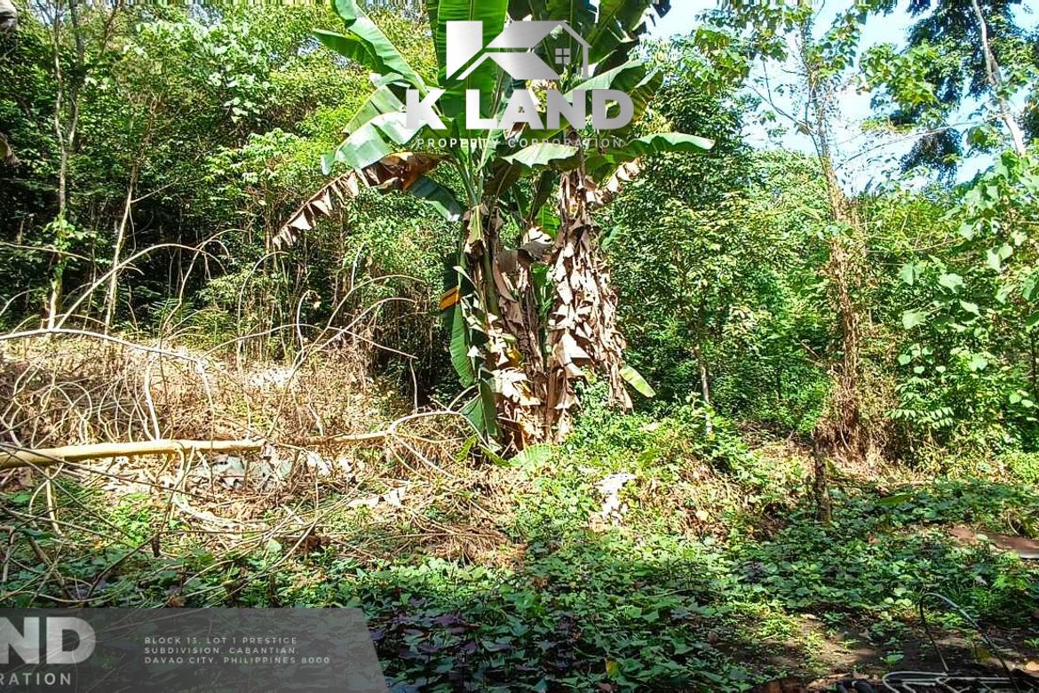 Land for Sale in Aumbay, Samal, Davao del Norte – photo 2