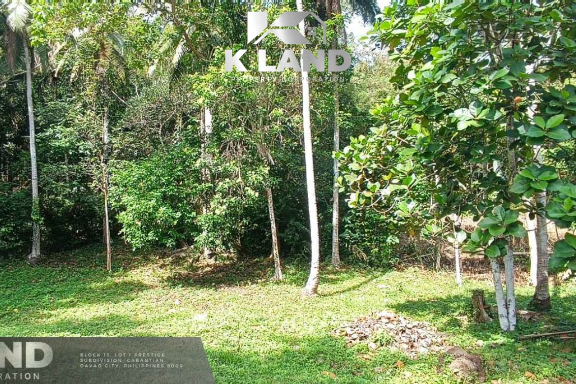 Land for Sale in Aumbay, Samal, Davao del Norte – photo 3