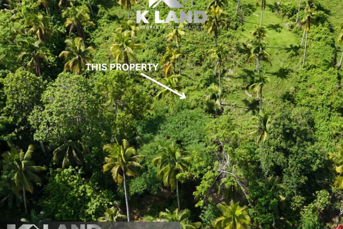 Land for Sale in Aumbay, Samal, Davao del Norte – photo 2