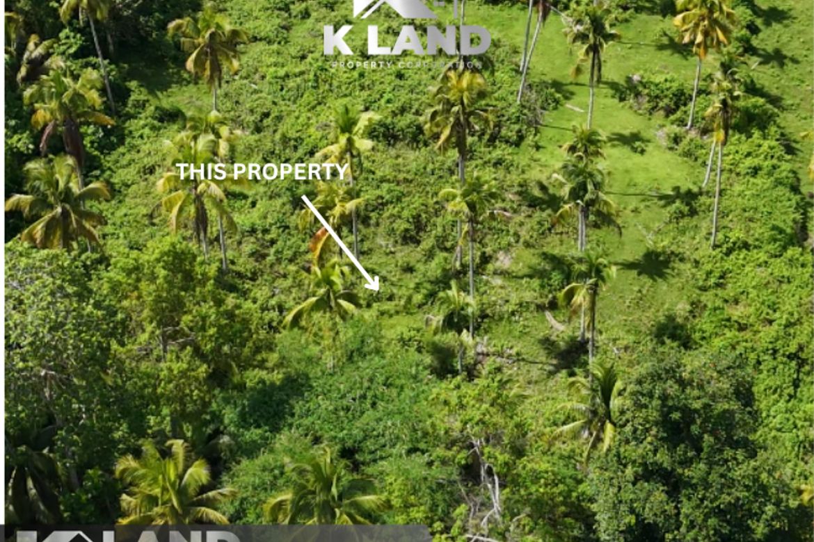 Land for Sale in Aumbay, Samal, Davao del Norte – photo 3