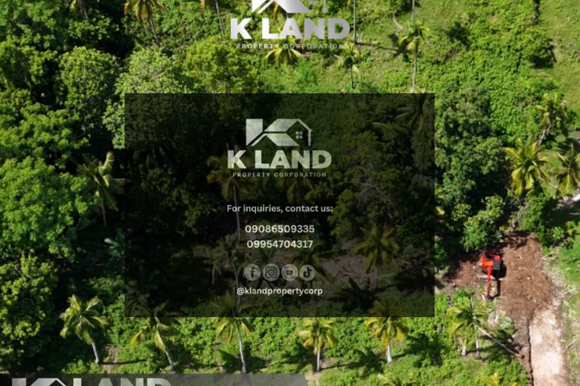 Land for Sale in Aumbay, Samal, Davao del Norte – photo 4