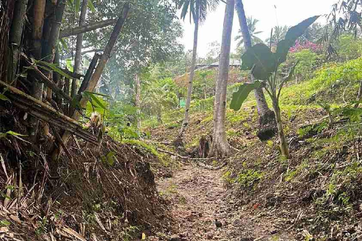 Land for Sale in Aumbay, Samal, Davao del Norte – photo 3