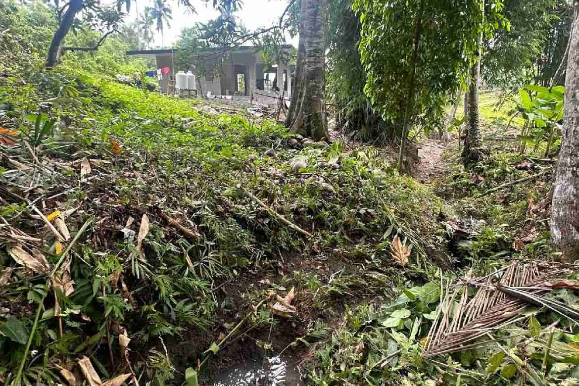 Land for Sale in Aumbay, Samal, Davao del Norte – photo 4