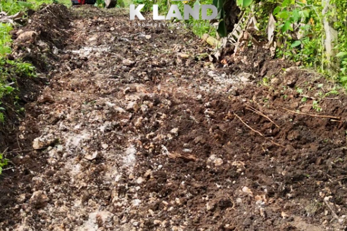 Land for Sale in Aumbay, Samal, Davao del Norte – photo 3