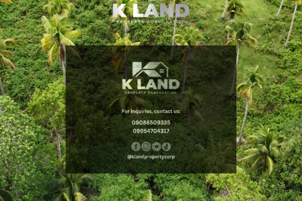 Land for Sale in Aumbay, Samal, Davao del Norte – photo 4