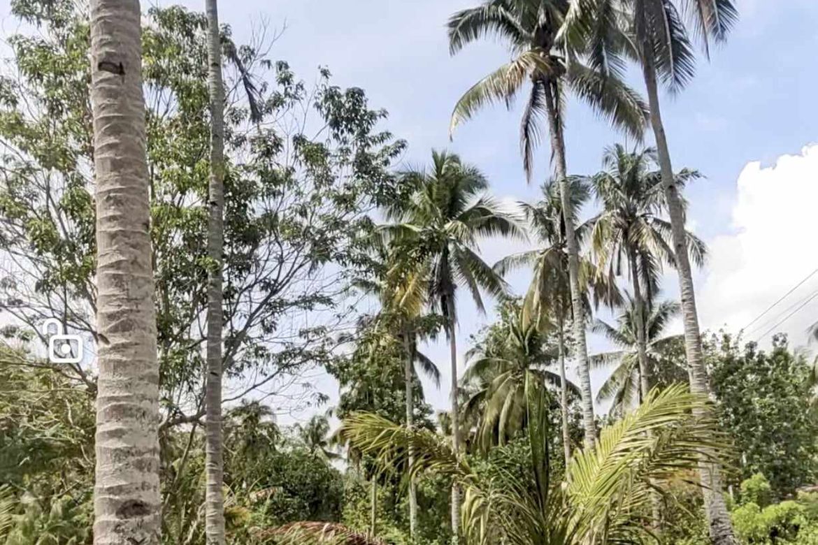 Land for Sale in Aumbay, Samal, Davao del Norte