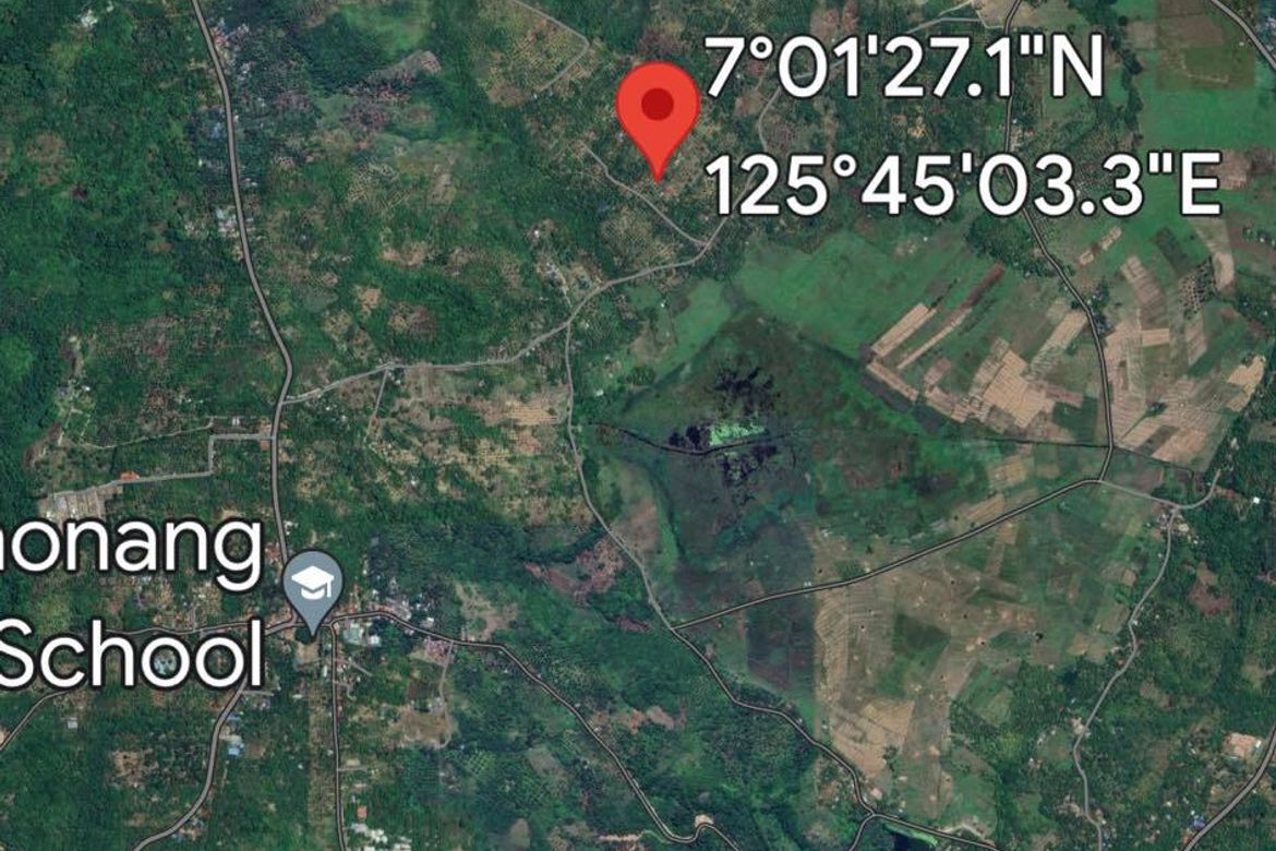 Land for Sale in Aumbay, Samal, Davao del Norte – photo 2