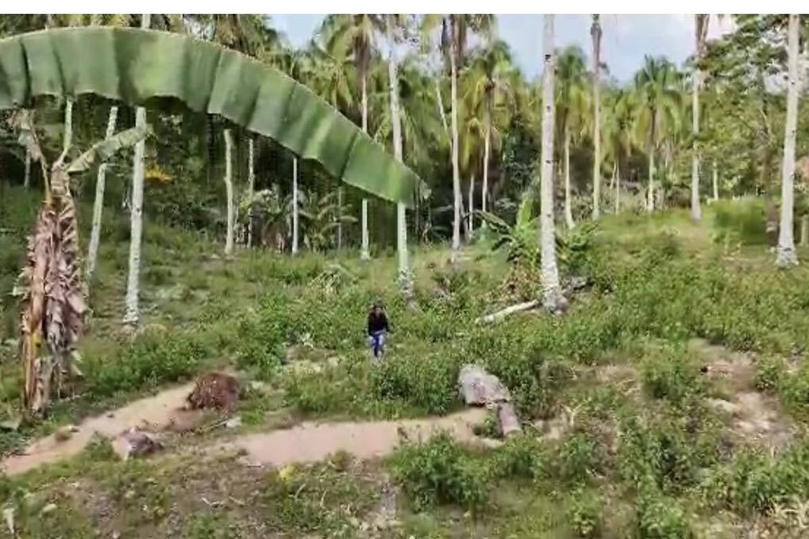 Land for Sale in Aumbay, Samal, Davao del Norte – photo 4