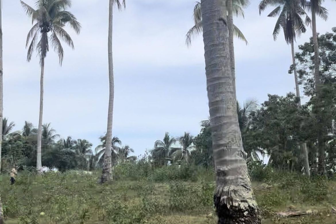 Land for Sale in Aumbay, Samal, Davao del Norte – photo 6