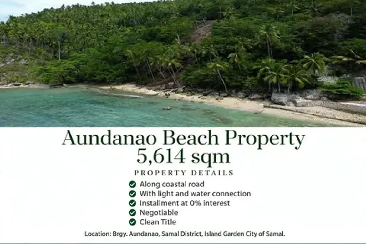 Land for Sale in Aundanao, Samal, Davao del Norte – photo 3