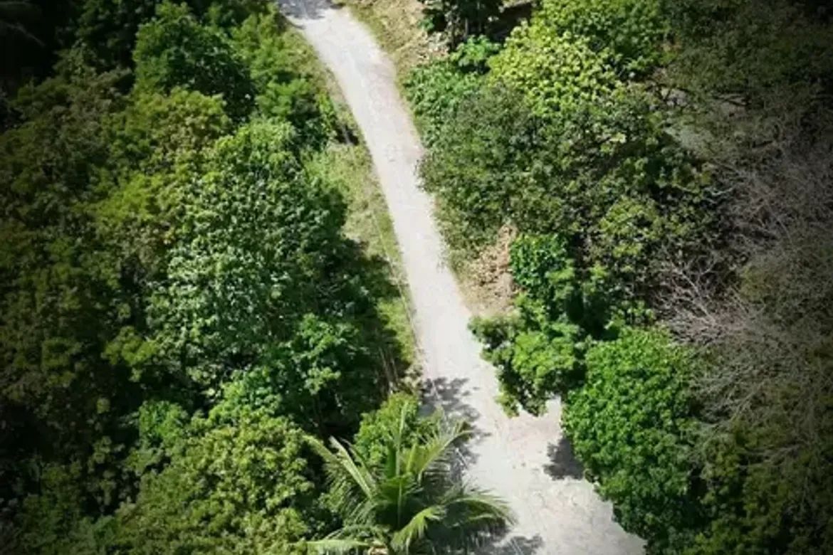 Land for Sale in Aundanao, Samal, Davao del Norte – photo 5