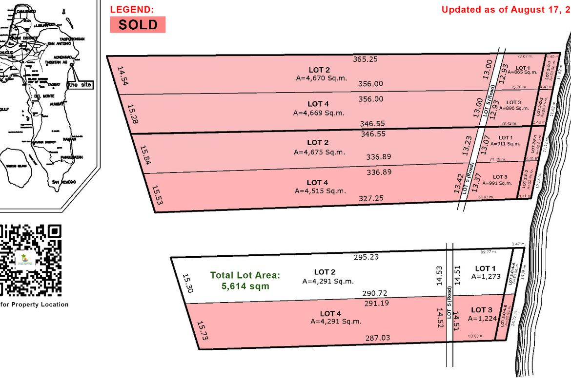 Land for Sale in Aundanao, Samal, Davao del Norte – photo 6