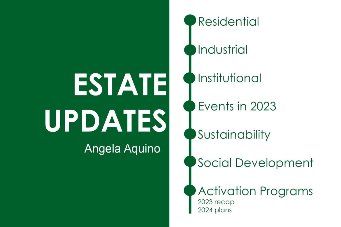 Land for Sale in Avida Settings Greendale Alviera, Mancatian, Porac, Pampanga – photo 5
