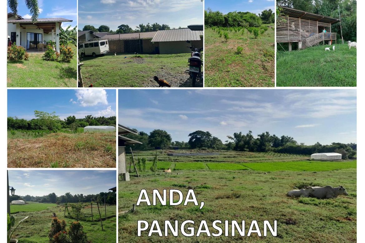 Land for Sale in Awile, Anda, Pangasinan