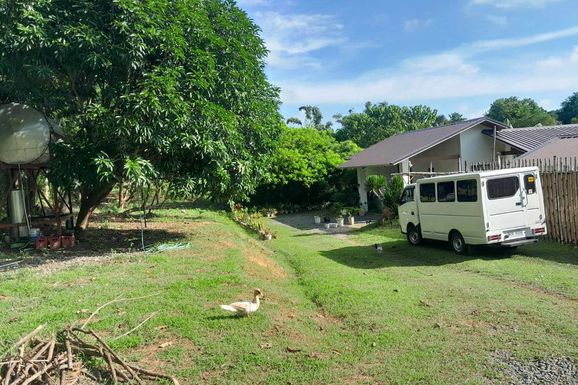 Land for Sale in Awile, Anda, Pangasinan – photo 2