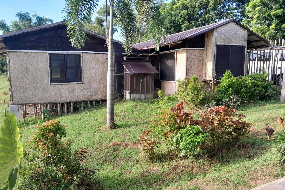 Land for Sale in Awile, Anda, Pangasinan – photo 3