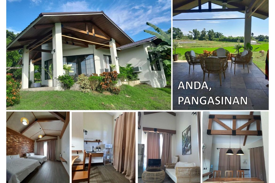 Land for Sale in Awile, Anda, Pangasinan – photo 4