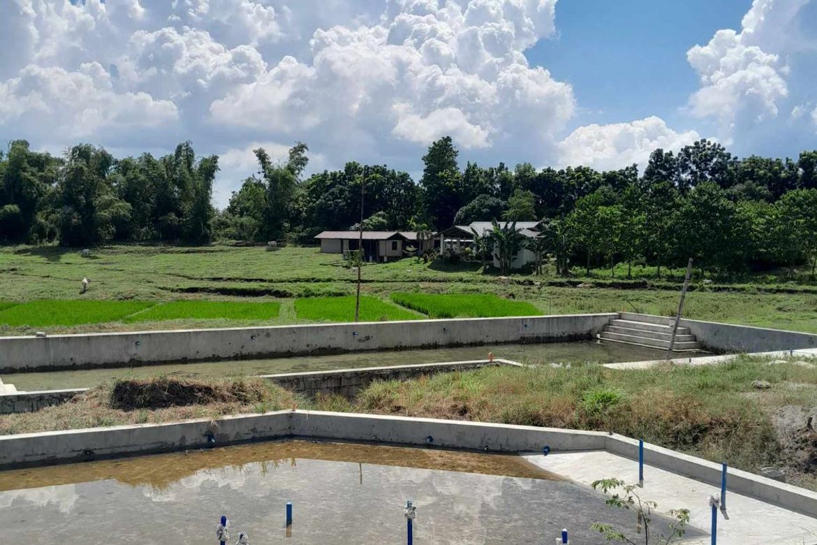 Land for Sale in Awile, Anda, Pangasinan – photo 6